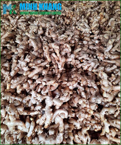 Fresh ginger